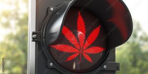 Cannabis im Straßenverkehr