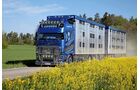 Supertruck Volvo FH lebend Viehtransport
